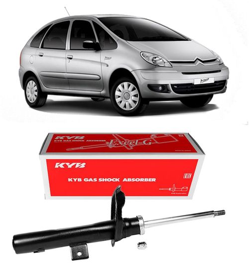 Amortecedor Dianteiro Citroen Xsara Picasso 2001 A 2012 Esq