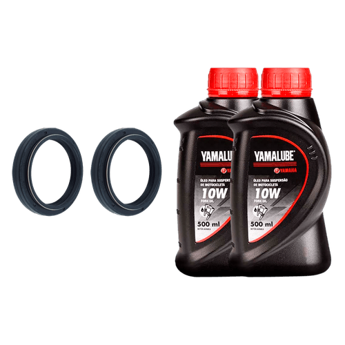 Par Retentores Óleo Suspensão 10W Fazer 250 18-23 Original
